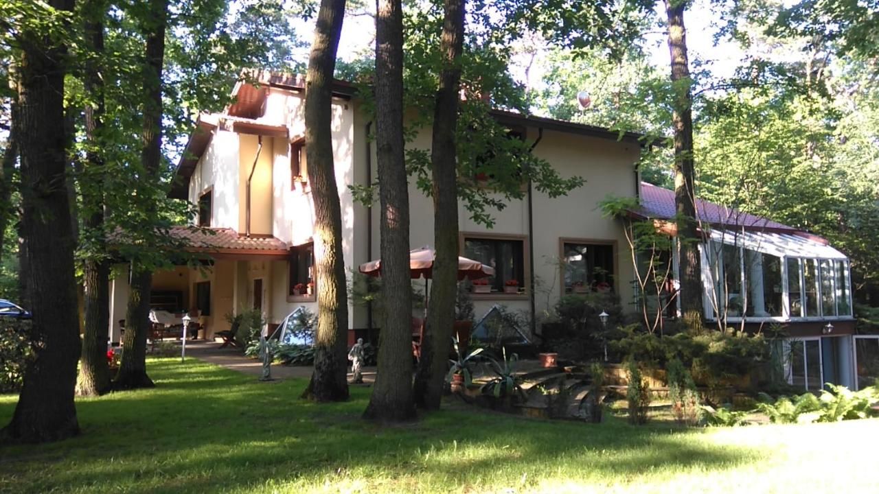 Отели типа «постель и завтрак» Villa Podkowa Podkowa Leśna-4