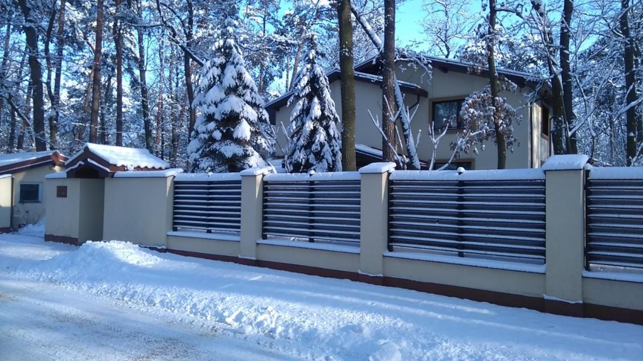 Отели типа «постель и завтрак» Villa Podkowa Podkowa Leśna-5